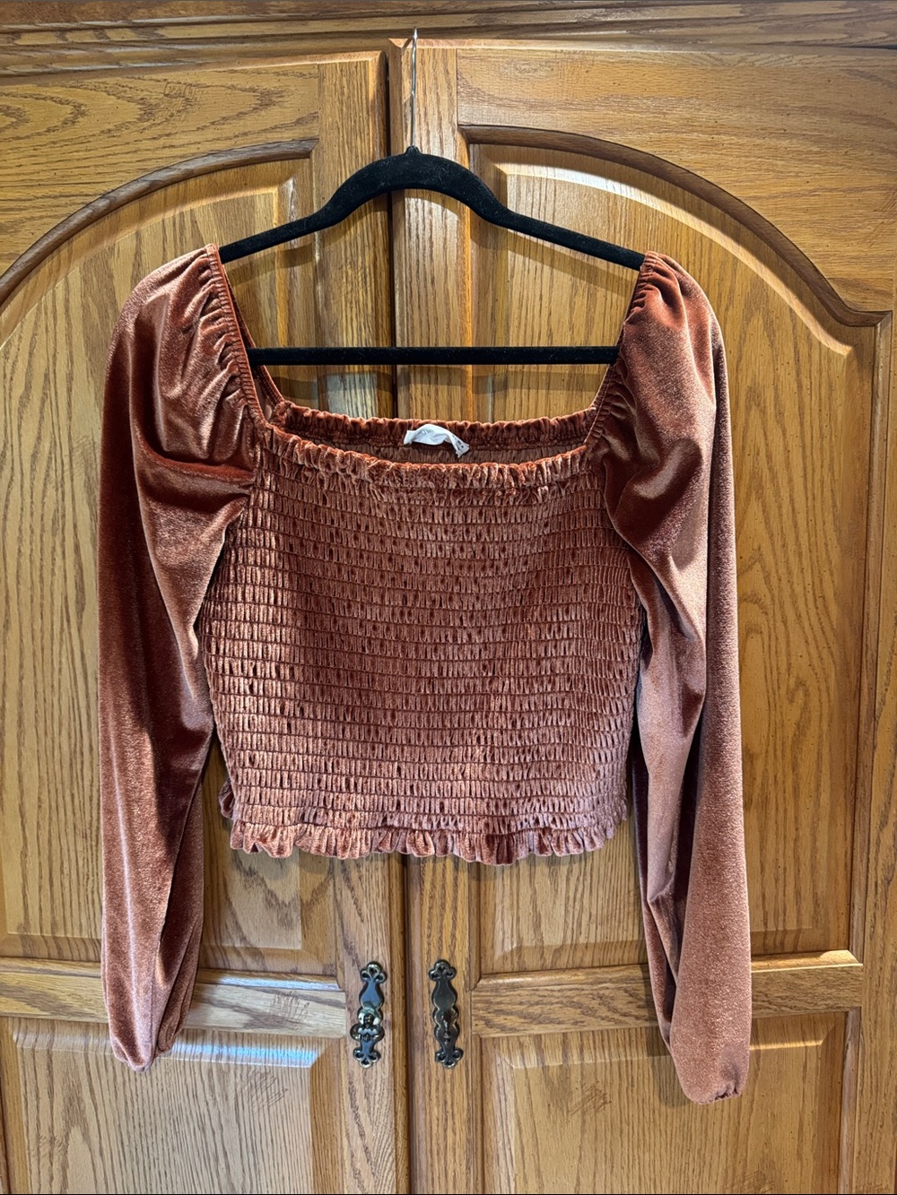 Elodie Rust Velvet Smocked Long-Sleeve Crop Top - Women
